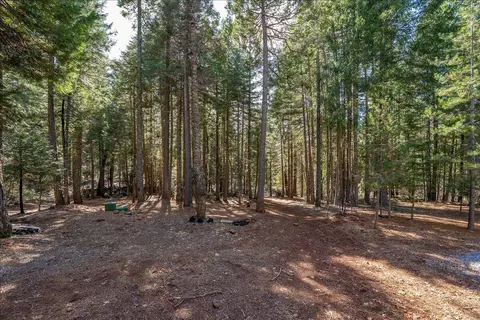 8495 Sky Tree Lane Ln, Shingletown, CA 96088 photo 31