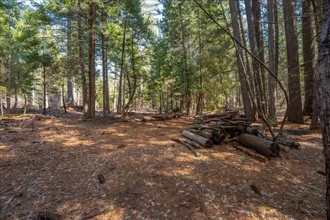 8495 Sky Tree Lane Ln, Shingletown, CA 96088 photo 50