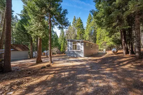 8495 Sky Tree Lane Ln, Shingletown, CA 96088 photo 47