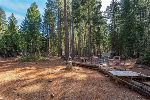 8495 Sky Tree Lane Ln, Shingletown, CA 96088 photo 54