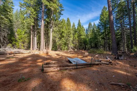 8495 Sky Tree Lane Ln, Shingletown, CA 96088 photo 52