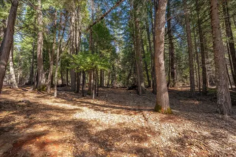 8495 Sky Tree Lane Ln, Shingletown, CA 96088 photo 49