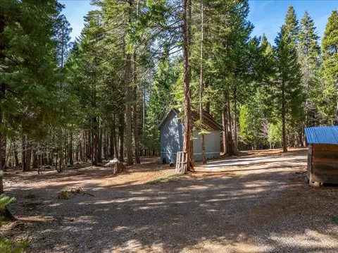 8495 Sky Tree Lane Ln, Shingletown, CA 96088 photo 22