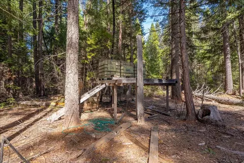 8495 Sky Tree Lane Ln, Shingletown, CA 96088 photo 51
