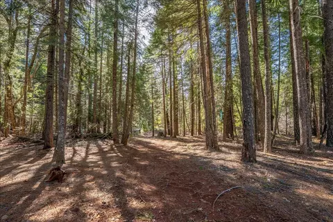 8495 Sky Tree Lane Ln, Shingletown, CA 96088 photo 33