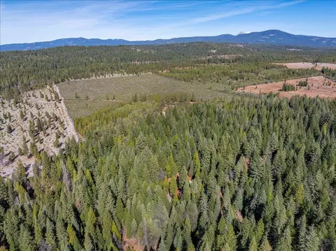 8495 Sky Tree Lane Ln, Shingletown, CA 96088 photo 28