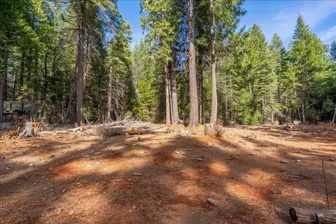 8495 Sky Tree Lane Ln, Shingletown, CA 96088 photo 53
