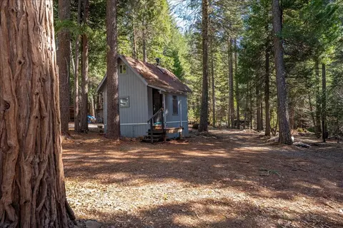 8495 Sky Tree Lane Ln, Shingletown, CA 96088 photo 39