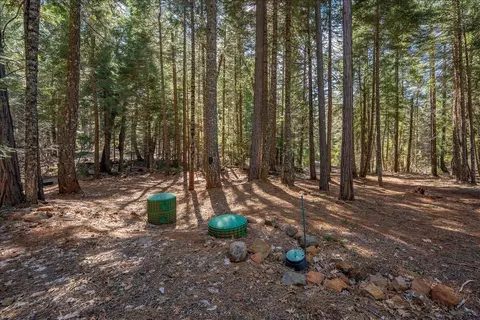 8495 Sky Tree Lane Ln, Shingletown, CA 96088 photo 32