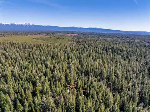 8495 Sky Tree Lane Ln, Shingletown, CA 96088 photo 25