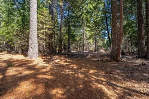 8495 Sky Tree Lane Ln, Shingletown, CA 96088 photo 44