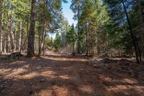 8495 Sky Tree Lane Ln, Shingletown, CA 96088 photo 45