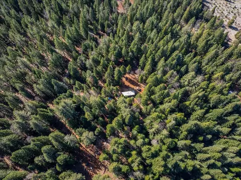 8495 Sky Tree Lane Ln, Shingletown, CA 96088 photo 26