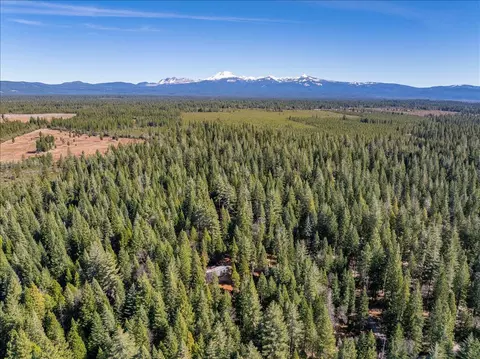 8495 Sky Tree Lane Ln, Shingletown, CA 96088 photo 24