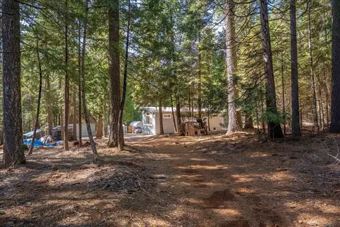 8495 Sky Tree Lane Ln, Shingletown, CA 96088 photo 46