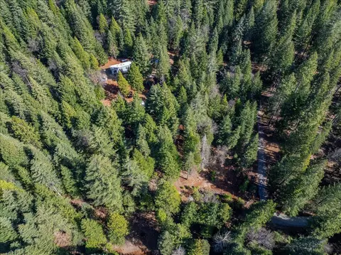 8495 Sky Tree Lane Ln, Shingletown, CA 96088 photo 29