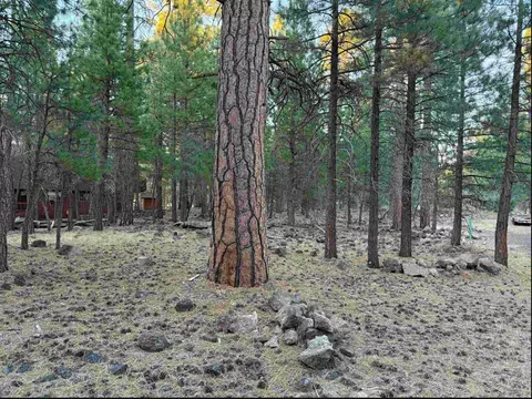 0 Magnolia Way, Susanville, CA 96130