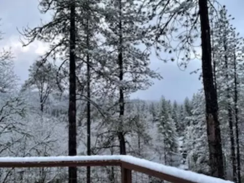 Other - 261 271 Salt Flat Rd, Lewiston, CA 96052 photo 8 of 8
