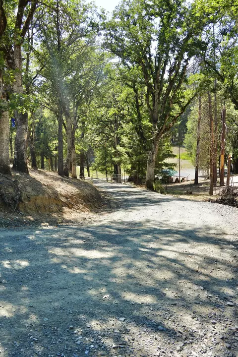 Exterior - 261 271 Salt Flat Rd, Lewiston, CA 96052 photo 14 of 15