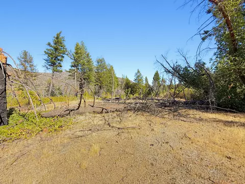 250 Bear Springs Rd, Junction City, CA 96048 photo 8
