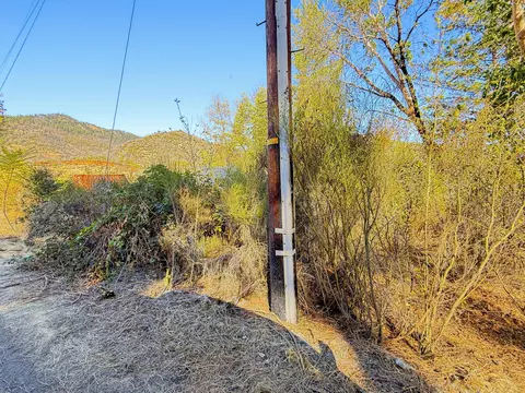250 Bear Springs Rd, Junction City, CA 96048 photo 10