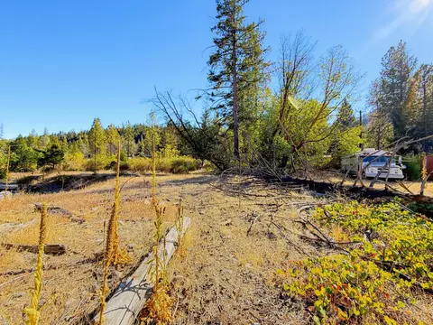 250 Bear Springs Rd, Junction City, CA 96048 photo 3