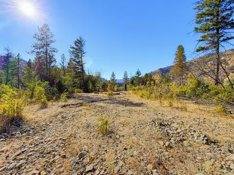 250 Bear Springs Rd, Junction City, CA 96048 photo 6