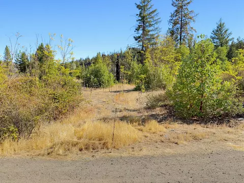 250 Bear Springs Rd, Junction City, CA 96048 photo 4