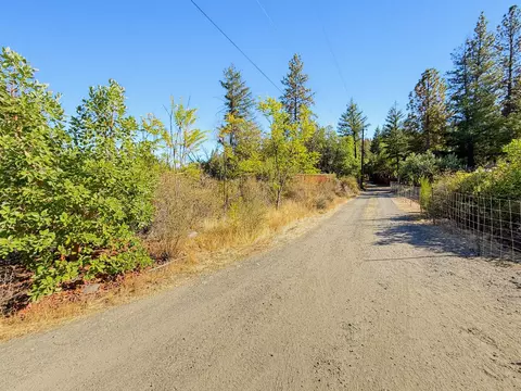 250 Bear Springs Rd, Junction City, CA 96048 photo 9