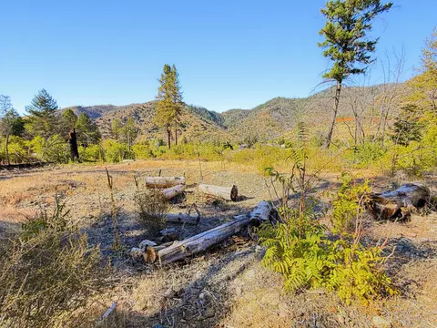 250 Bear Springs Rd, Junction City, CA 96048 photo 5