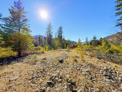 250 Bear Springs Rd, Junction City, CA 96048 photo 2