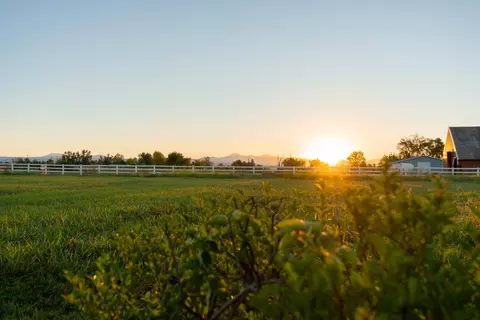 Other - 21780 Lone Tree Rd, Anderson, CA 96007 photo 51 of 53