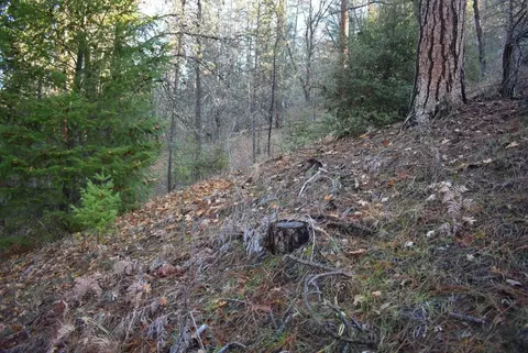 Other - 3221 Goose Ranch Rd, Lewiston, CA 96052 photo 4 of 12