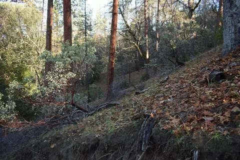Other - 3221 Goose Ranch Rd, Lewiston, CA 96052 photo 5 of 12