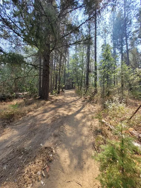 Other - 3221 Goose Ranch Rd, Lewiston, CA 96052 photo 6 of 12