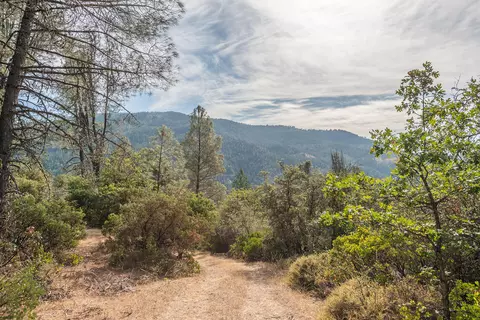 Other - 100 Carr Pl, Lewiston, CA 96052 photo 15 of 17