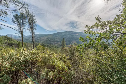 Other - 100 Carr Pl, Lewiston, CA 96052 photo 13 of 17