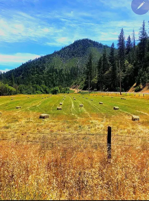 Other - 17841 Wildwood Rd, Hayfork, CA 96041 photo 13 of 18