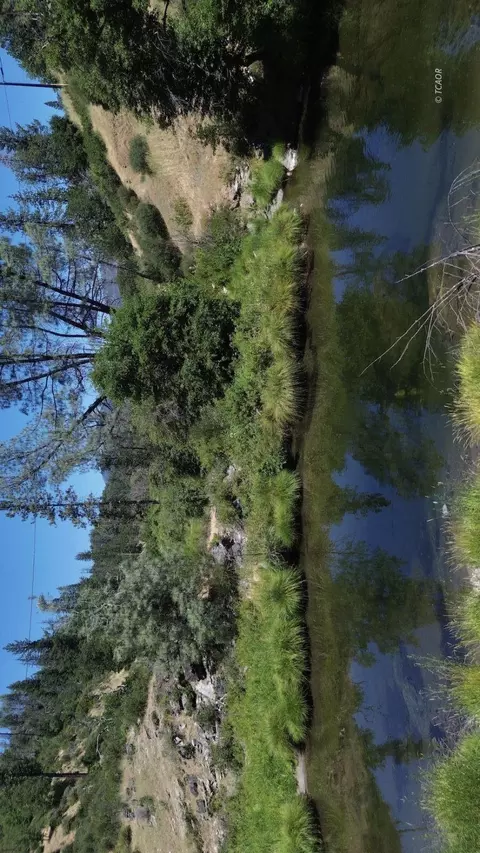 View/Area - 17841 Wildwood Rd, Hayfork, CA 96041 photo 1 of 1