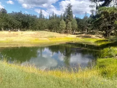 View/Area - 324 Frog Pond Ln, Hayfork, CA 96041 photo 3 of 7