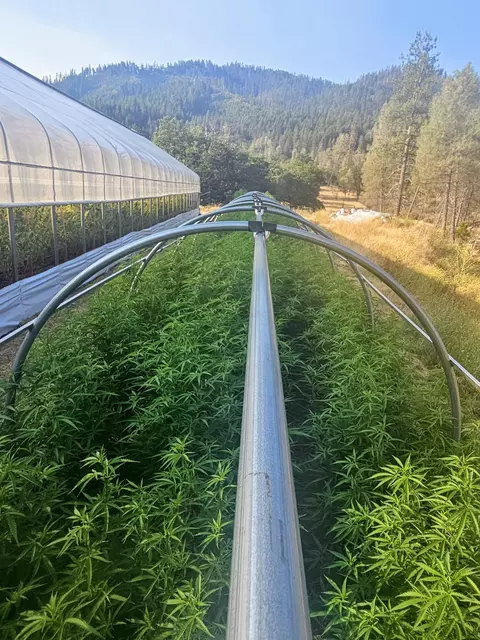 Other - 324 Frog Pond Ln, Hayfork, CA 96041 photo 9 of 19