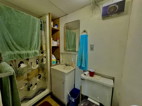 Bath - 114 Rodeo Way #D, Ruth, CA 95552 photo 1 of 4