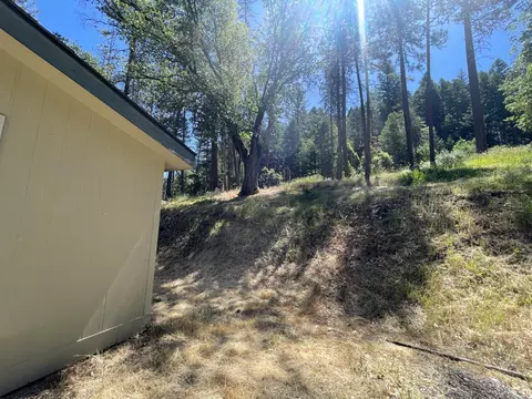 Exterior - 2016 Morgan Hill Rd, Hayfork, CA 96041 photo 9 of 12