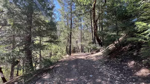 Exterior - 000 Devils Gulch Rd, Hayfork, CA 96041 photo 6 of 8