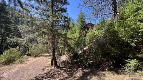 Exterior - 000 Devils Gulch Rd, Hayfork, CA 96041 photo 5 of 8