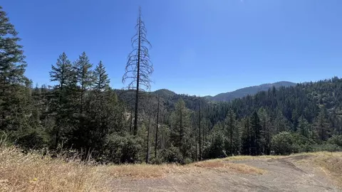 Other - 000 Devils Gulch Rd, Hayfork, CA 96041 photo 18 of 18