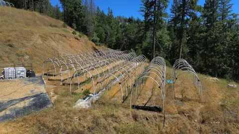Other - 000 Devils Gulch Rd, Hayfork, CA 96041 photo 6 of 18