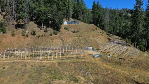 Other - 000 Devils Gulch Rd, Hayfork, CA 96041 photo 5 of 18