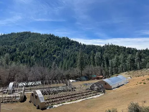 Other - 2150 Salt Gulch Rd, Hayfork, CA 96041 photo 19 of 21