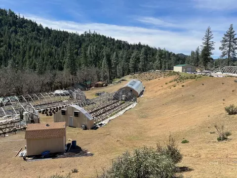 Other - 2150 Salt Gulch Rd, Hayfork, CA 96041 photo 14 of 21